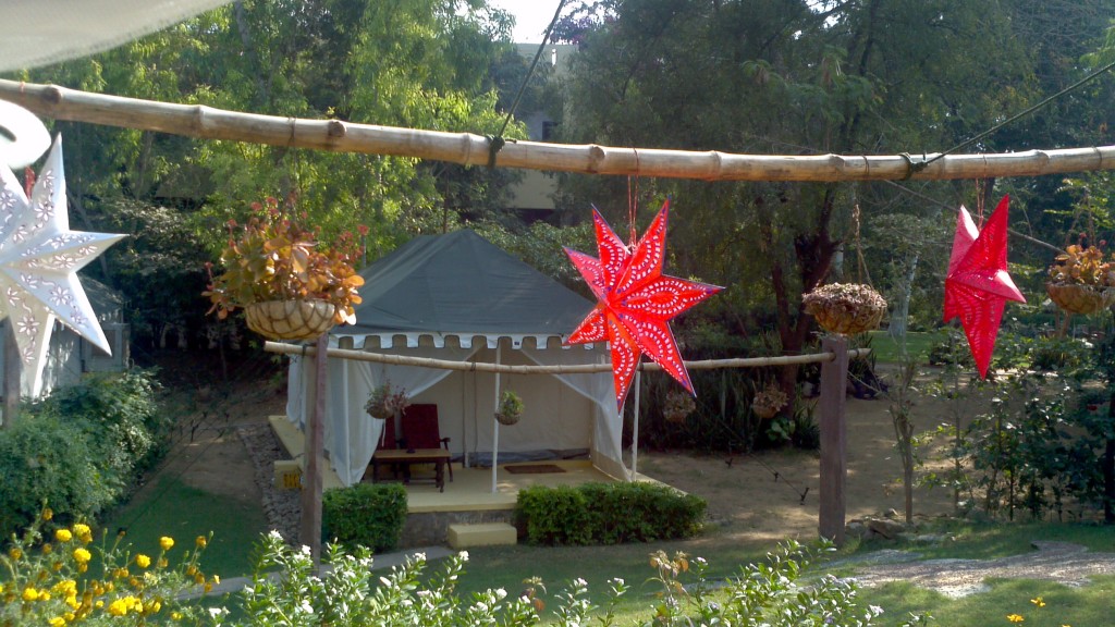 Christmas stars from Kerala decorating our tiger camp on Christmas Day