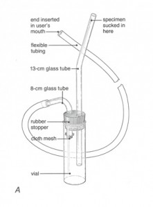 fruit fly aspirator